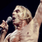 Iggy & The Stooges
