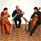 Temperament 430